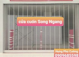 MẮC VÕNG SONG NGANG , Sắt sơn tĩnh điện